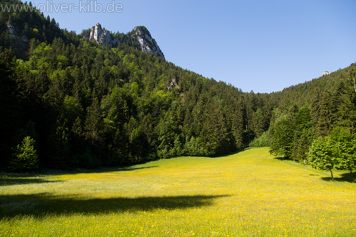 Wanderung auf den Heuberg, Juni 2015.