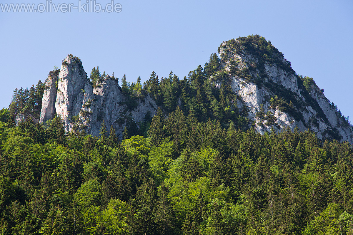Wanderung auf den Heuberg, Juni 2015.