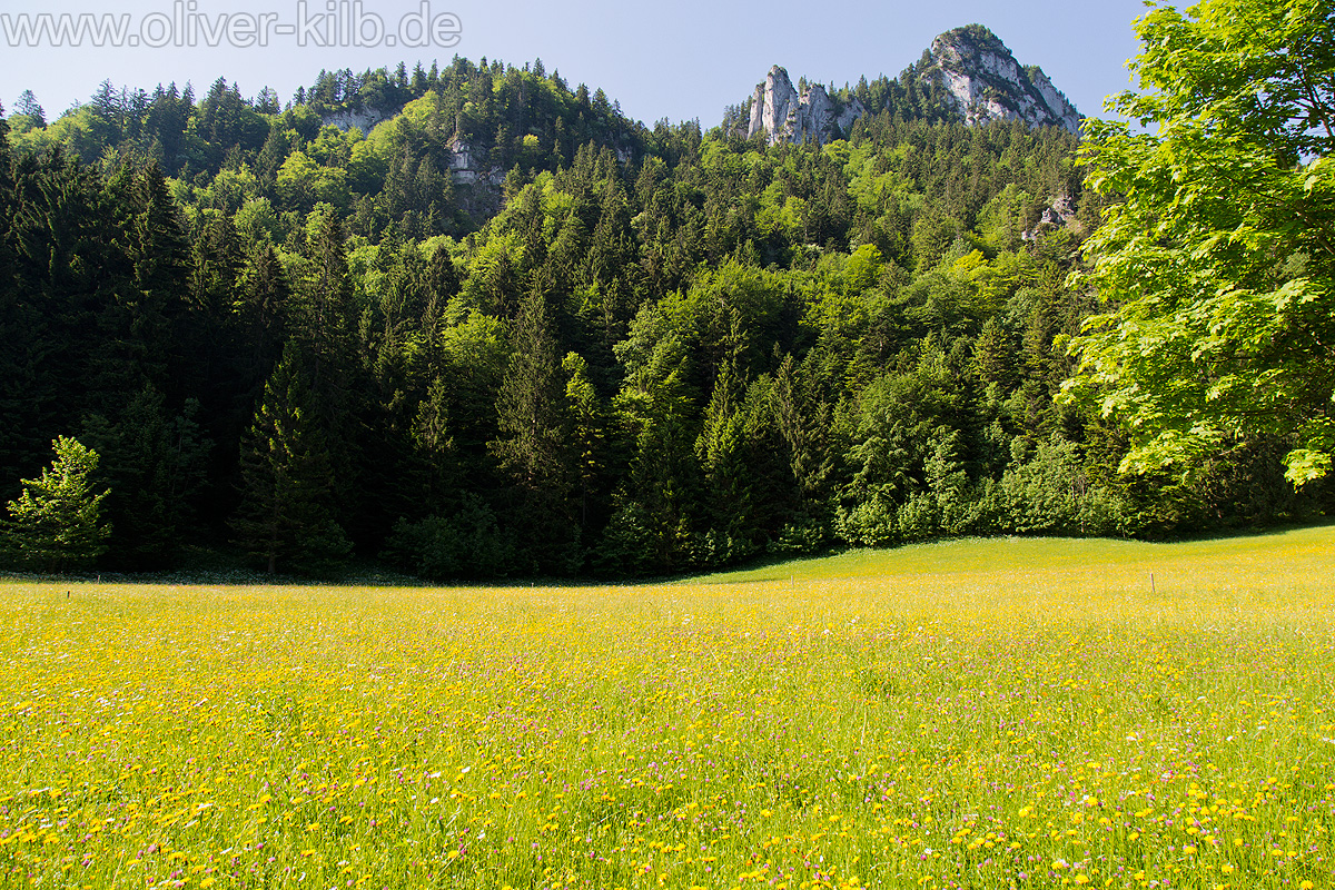Wanderung auf den Heuberg, Juni 2015.