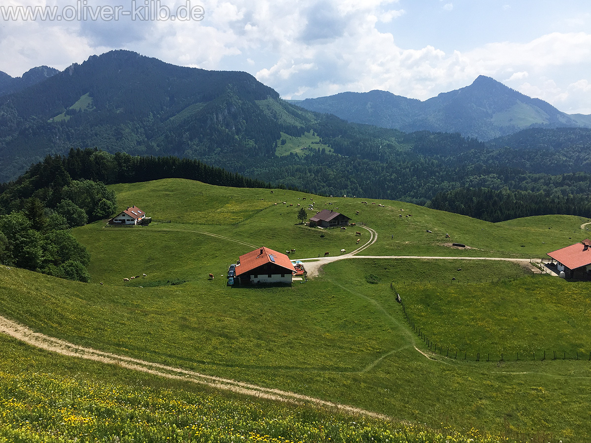 Wanderung auf den Heuberg, Juni 2015.