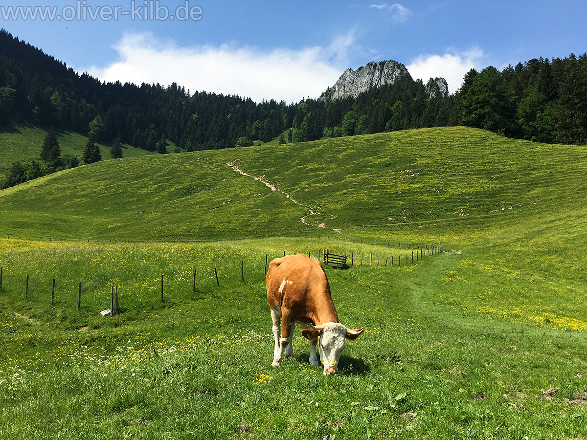 Willkommen in Bayern!