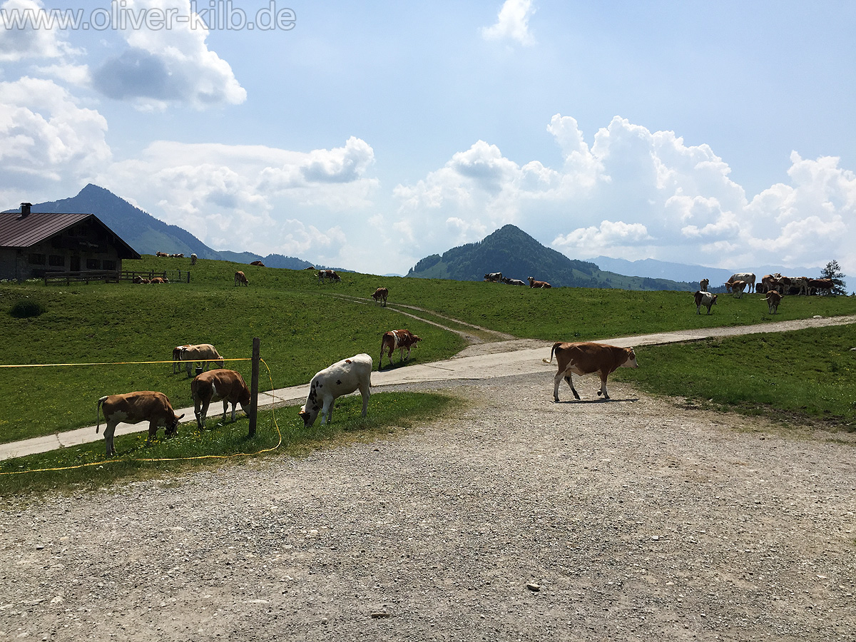 Wanderung auf den Heuberg, Juni 2015.