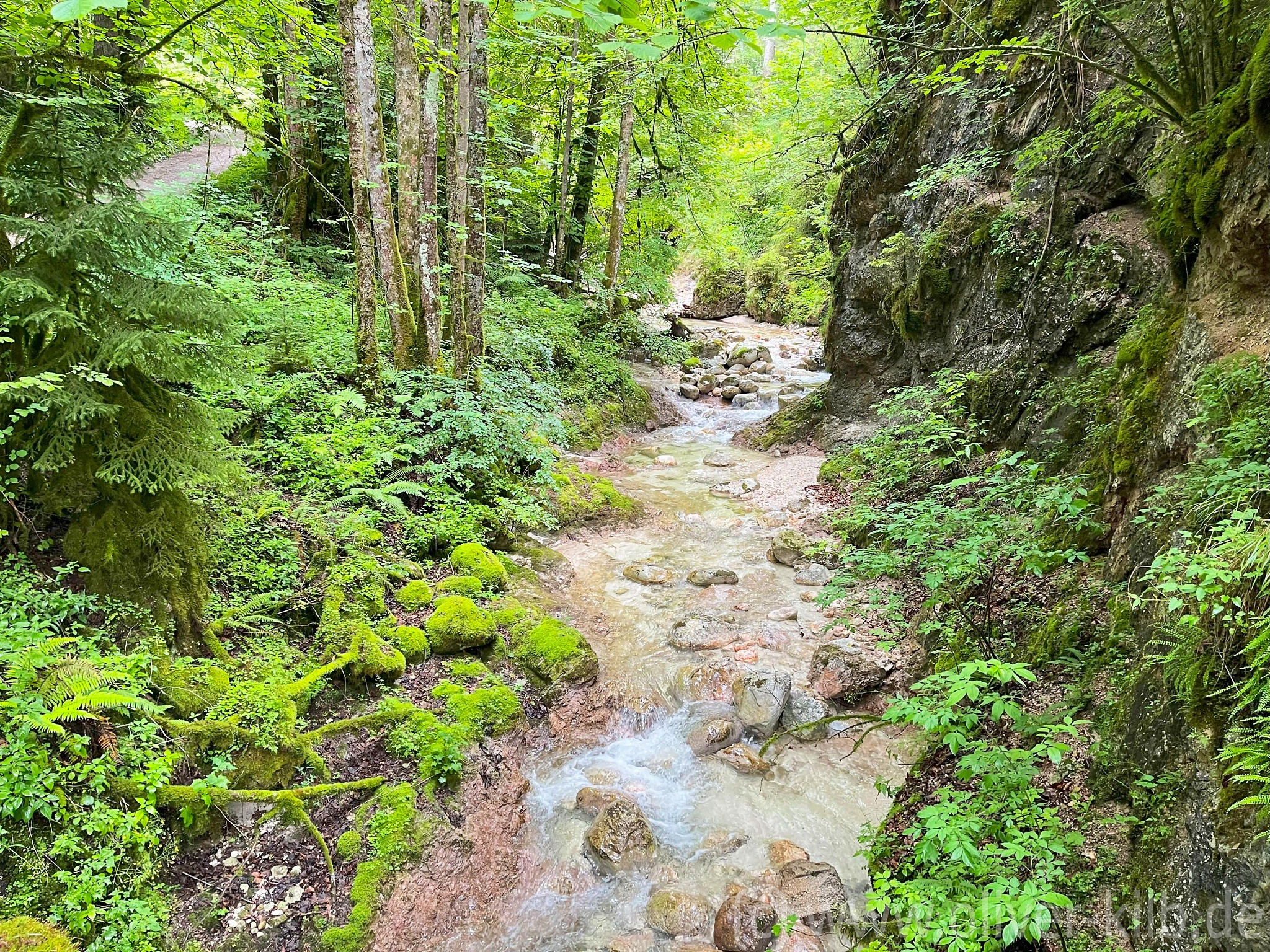 Der Aschauer Bach