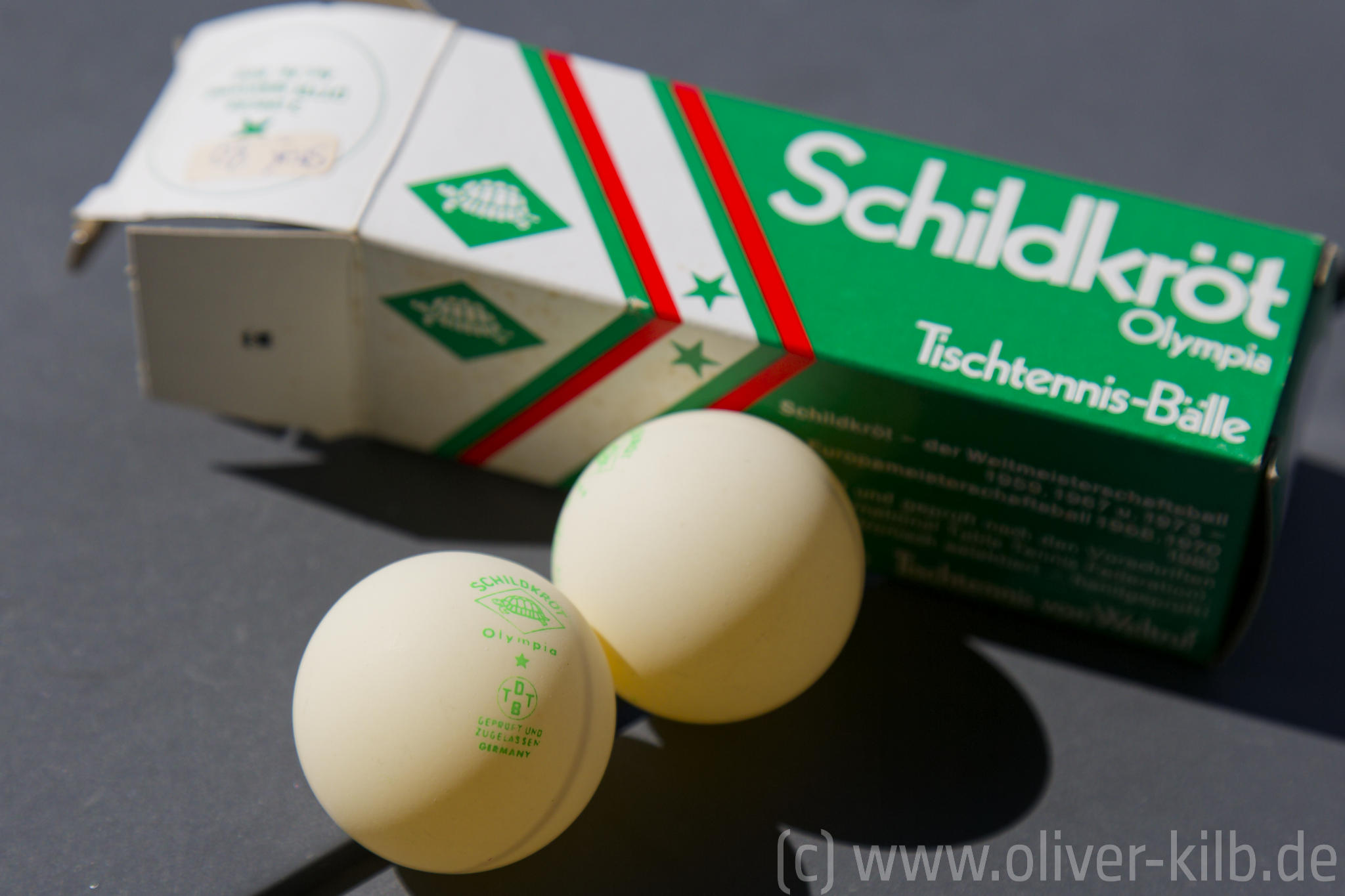 Schildkröt Olympia *