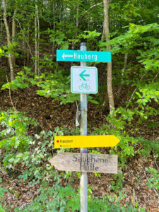 Erste Abzweigung vom Forstweg nach ca. 30-40 Minuten.