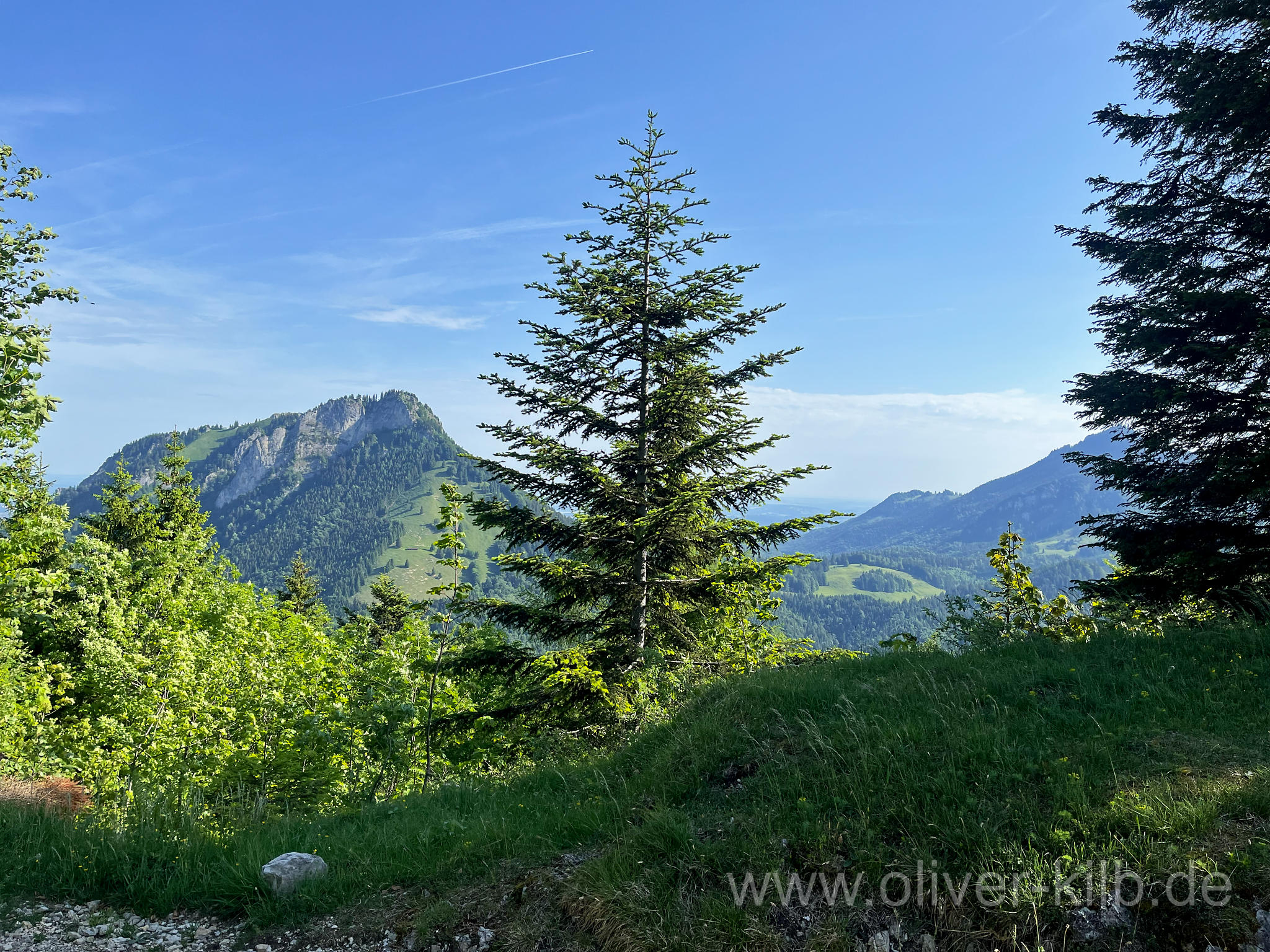 Nach circa 1,5 Stunden ist man so weit oben, dass man die Aussicht genießen kann.