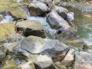 Der Arzbach.