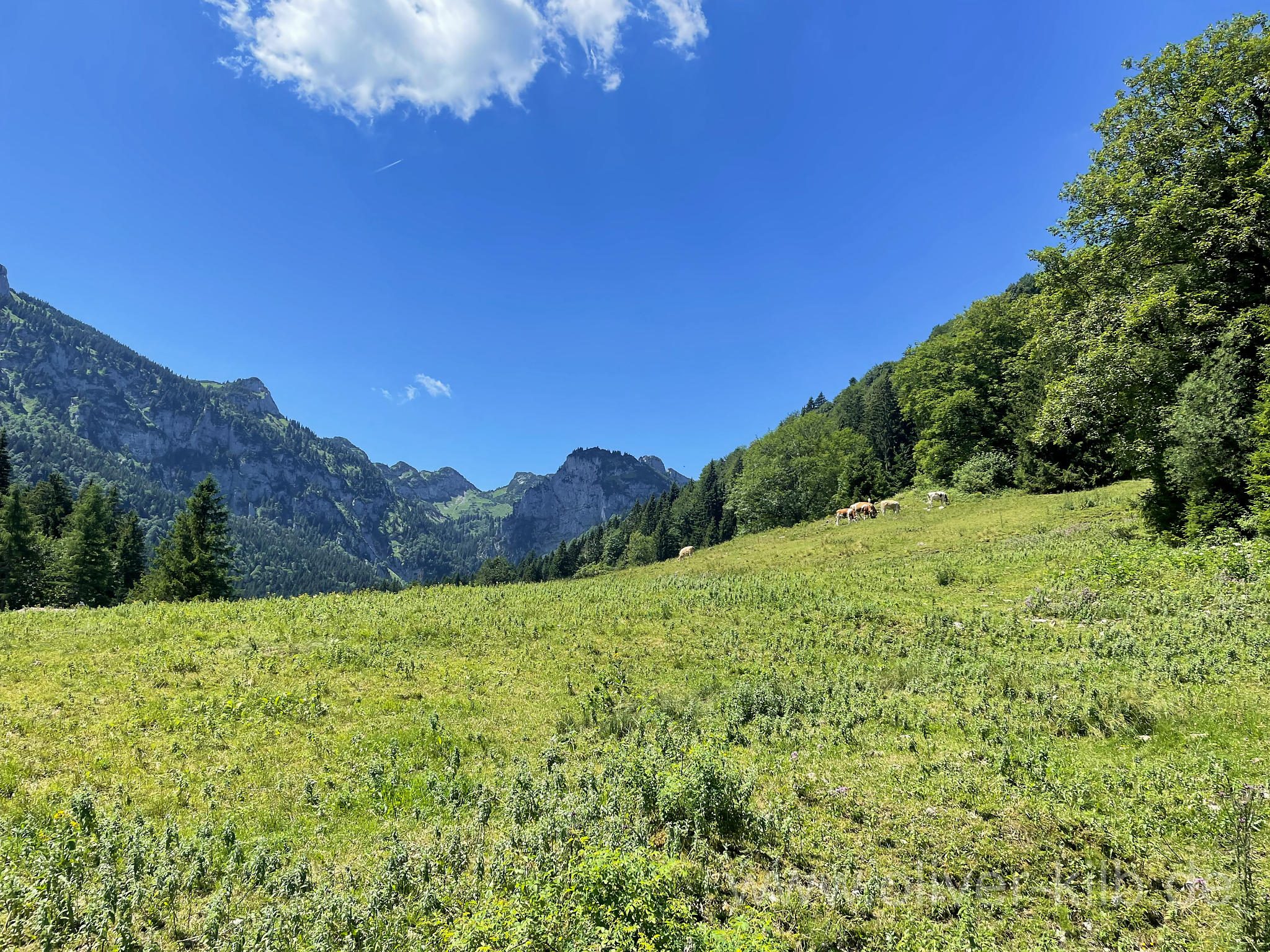 Blick ins Talende.