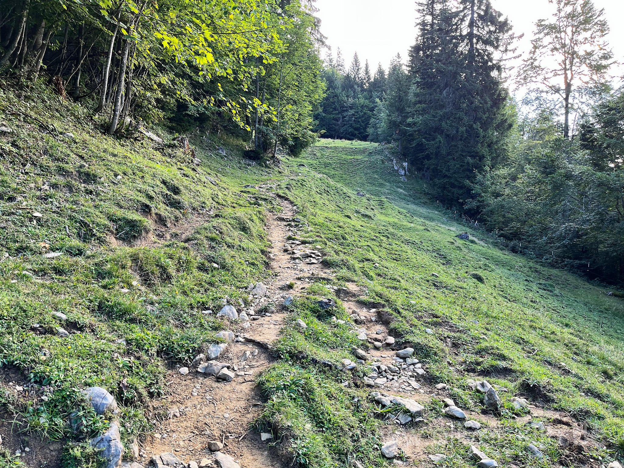 Weiter bergauf.