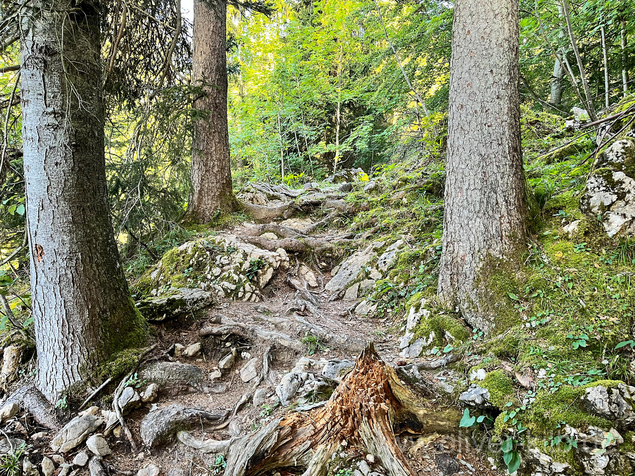 Schöne Wanderwege.