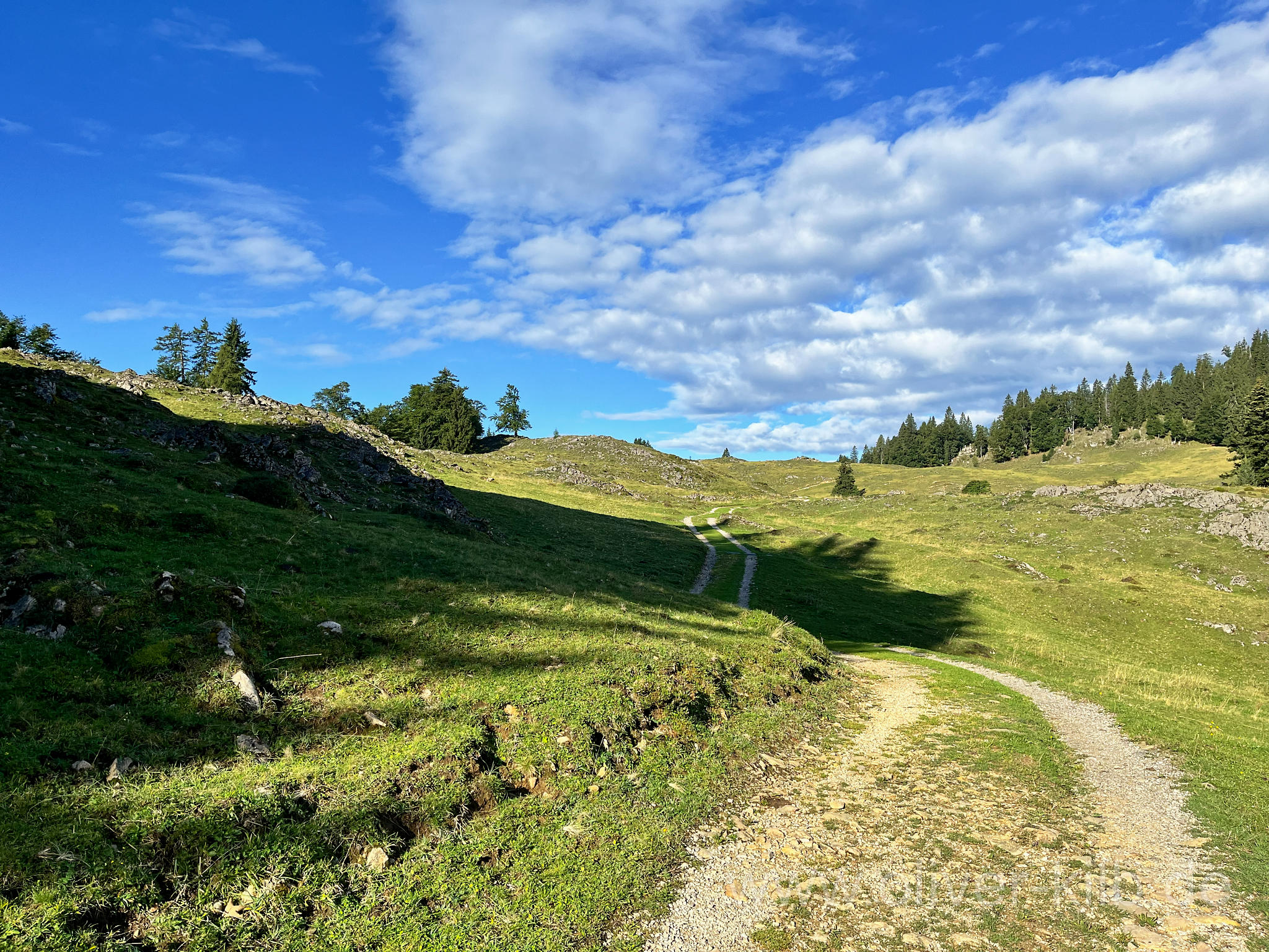 Zur Stoibenmöseralm.
