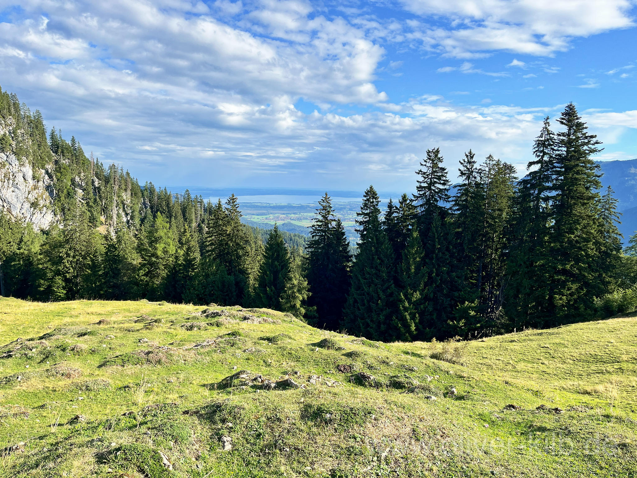 Zur Stoibenmöseralm.
