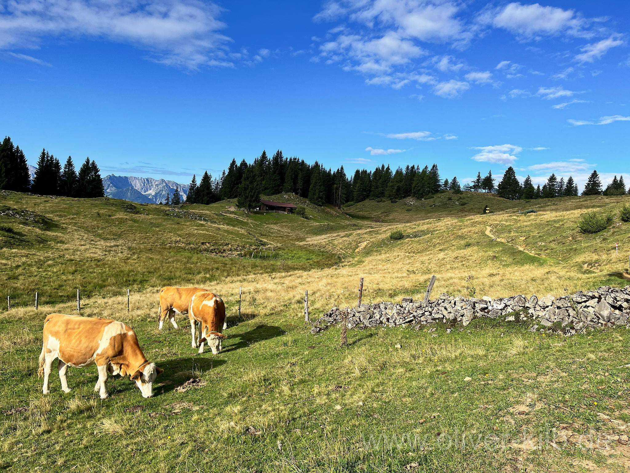 Weiter zum Taubensee.
