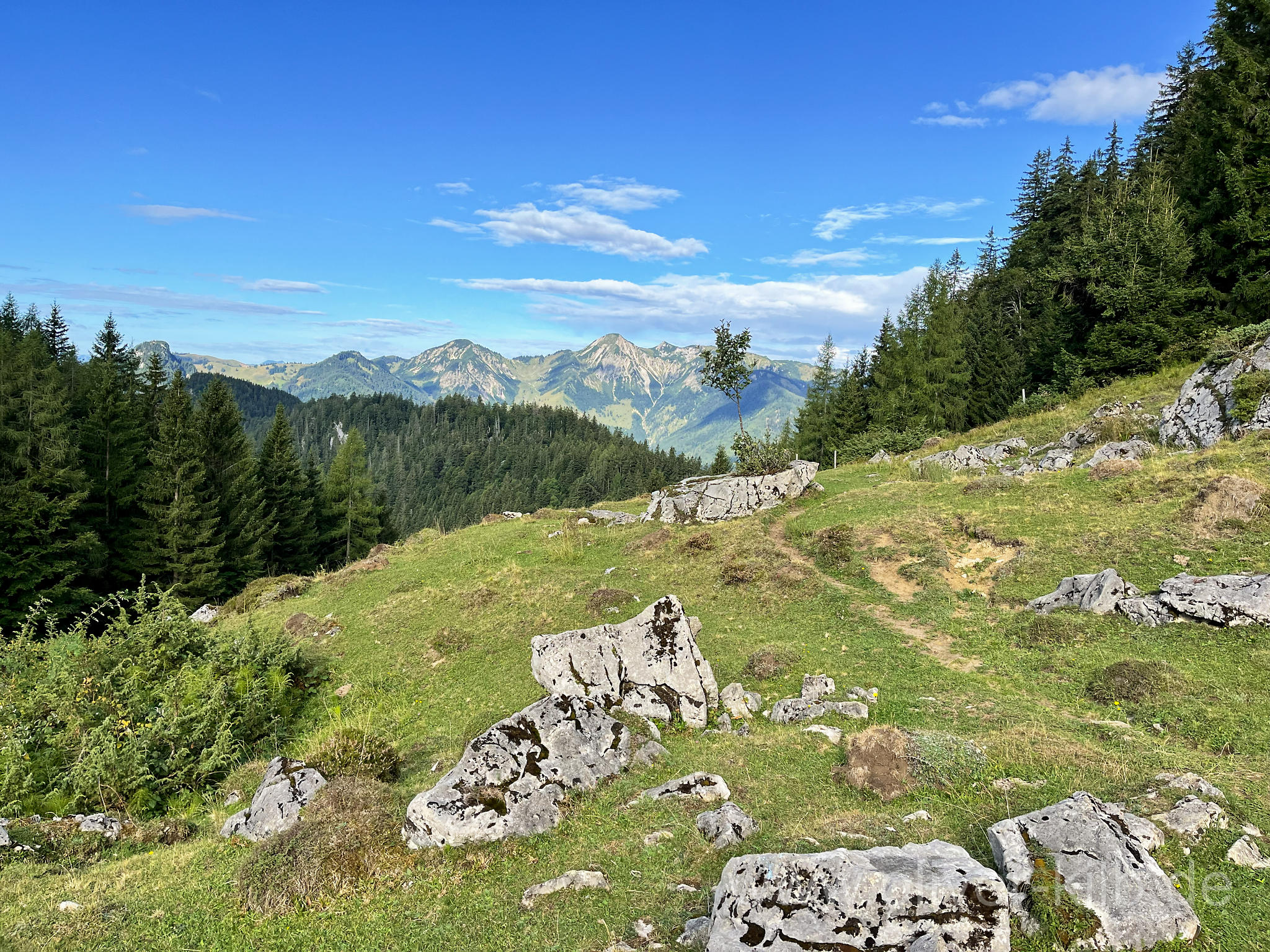 Auf dem Luftbodensteig.