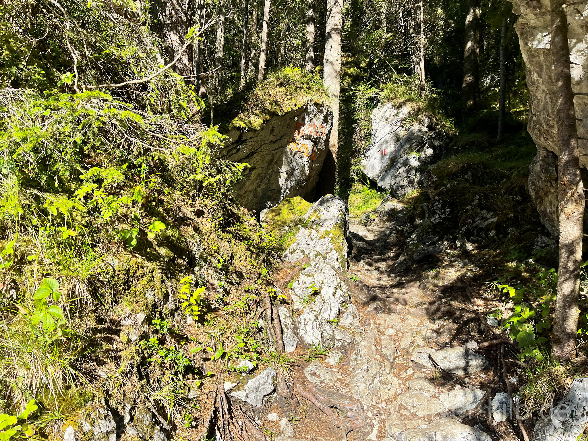 Der Weg um den Taubensee.