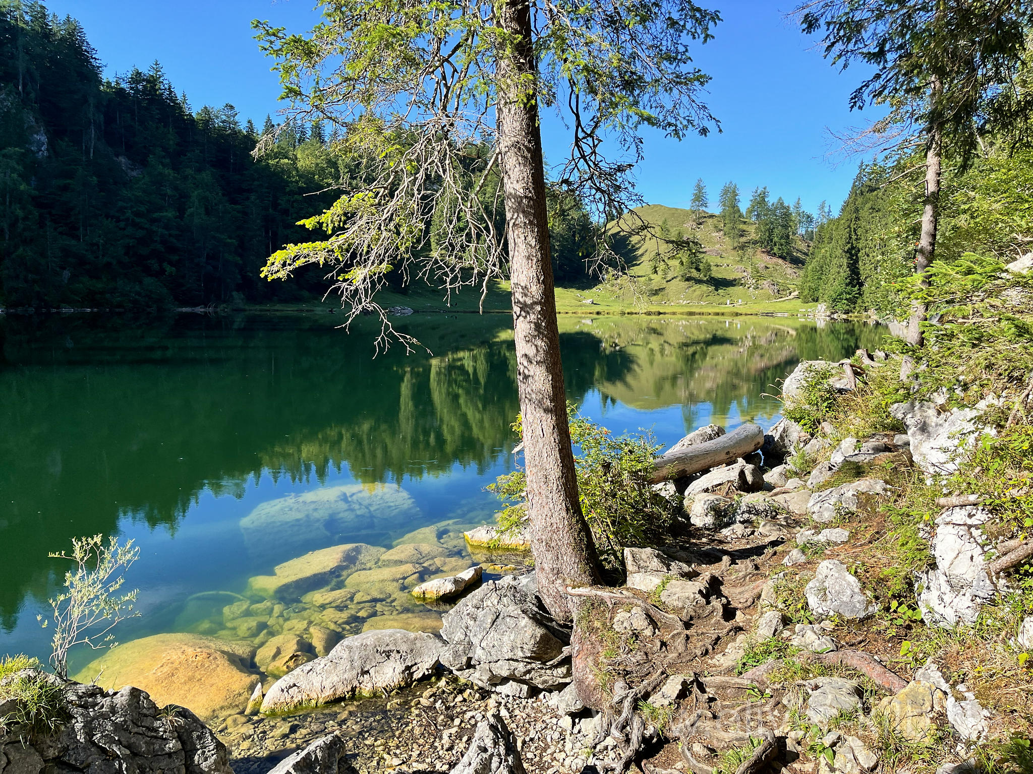 Am Taubensee.