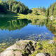 Am Taubensee.