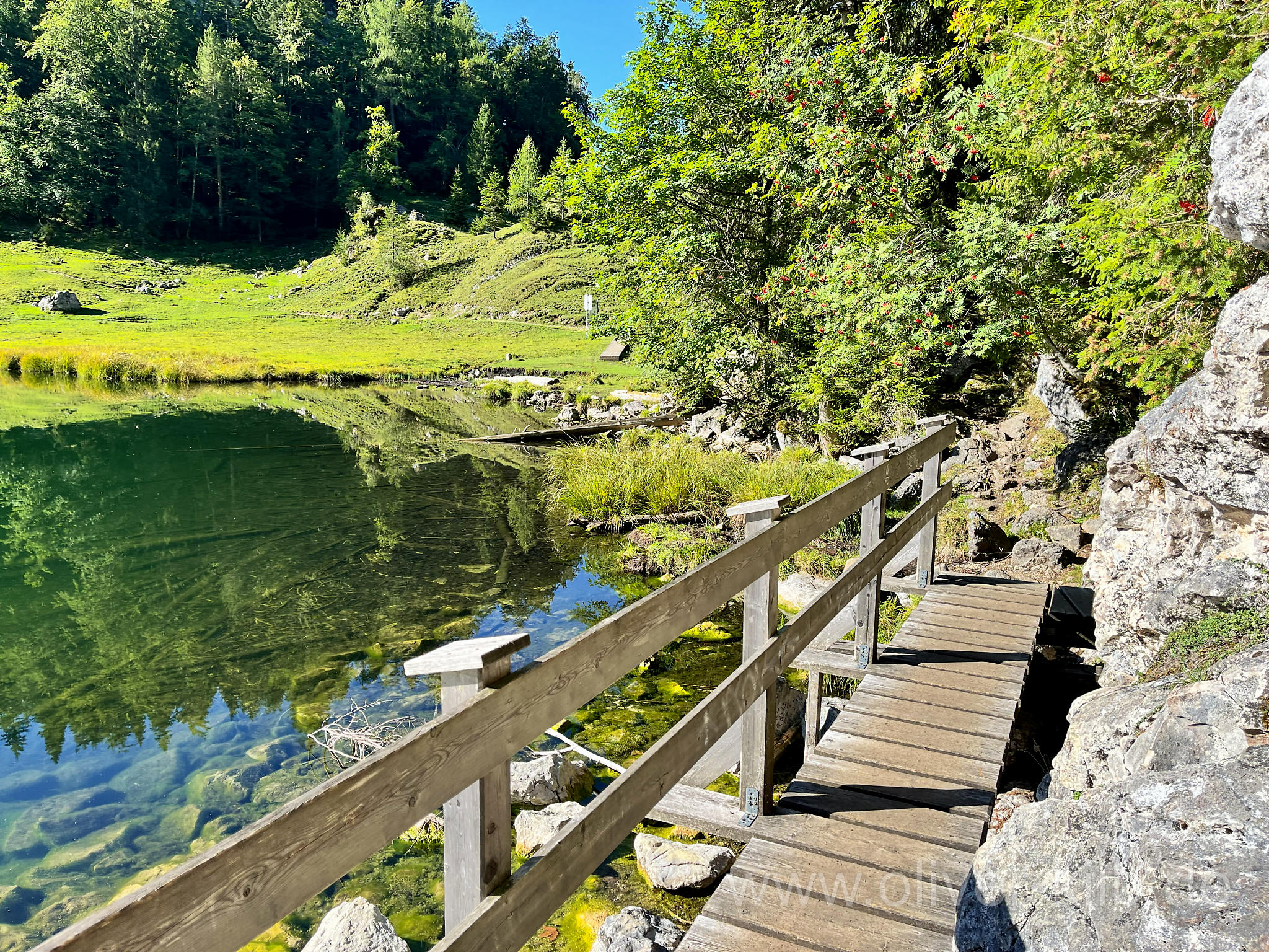 Am Taubensee.