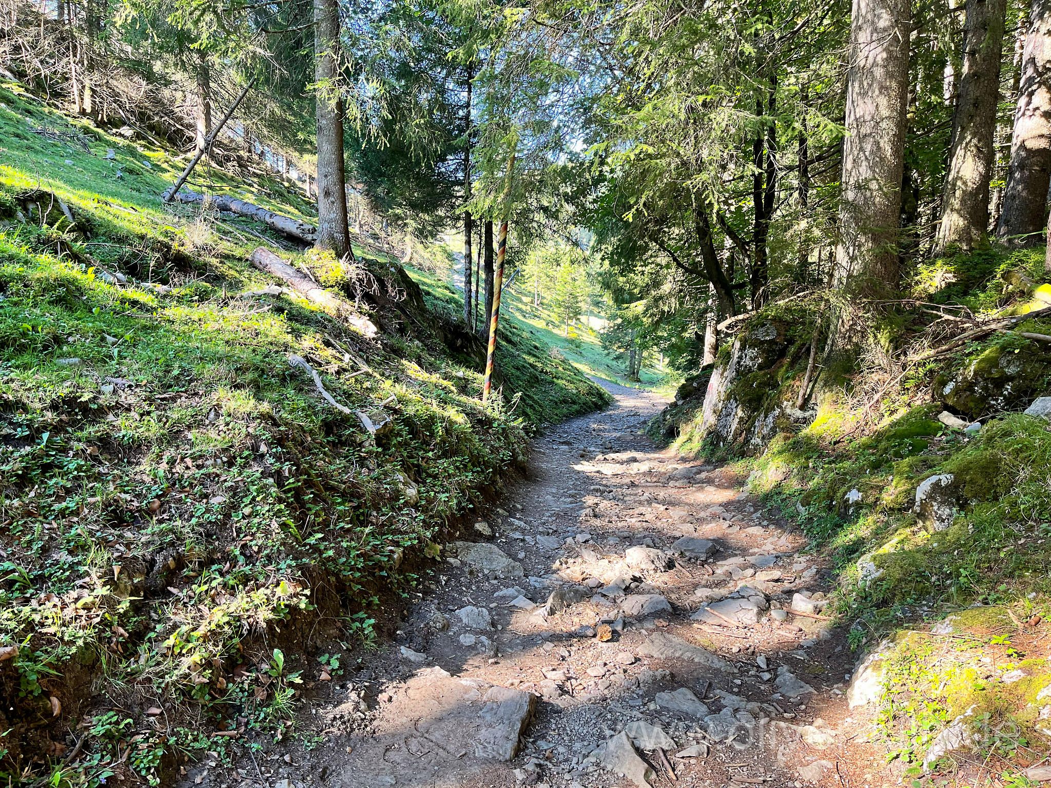 Weiter zur Taubenseehütte.