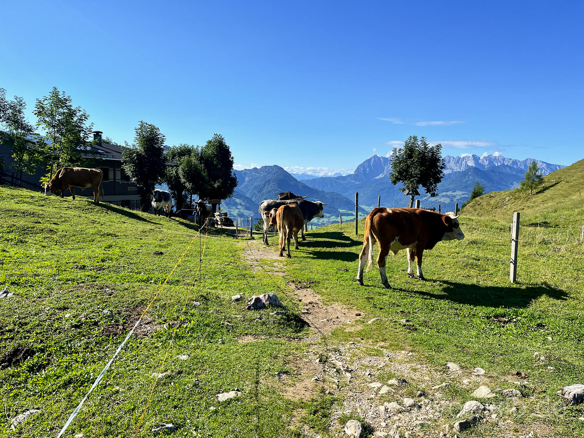 Die Taubenseehütte.