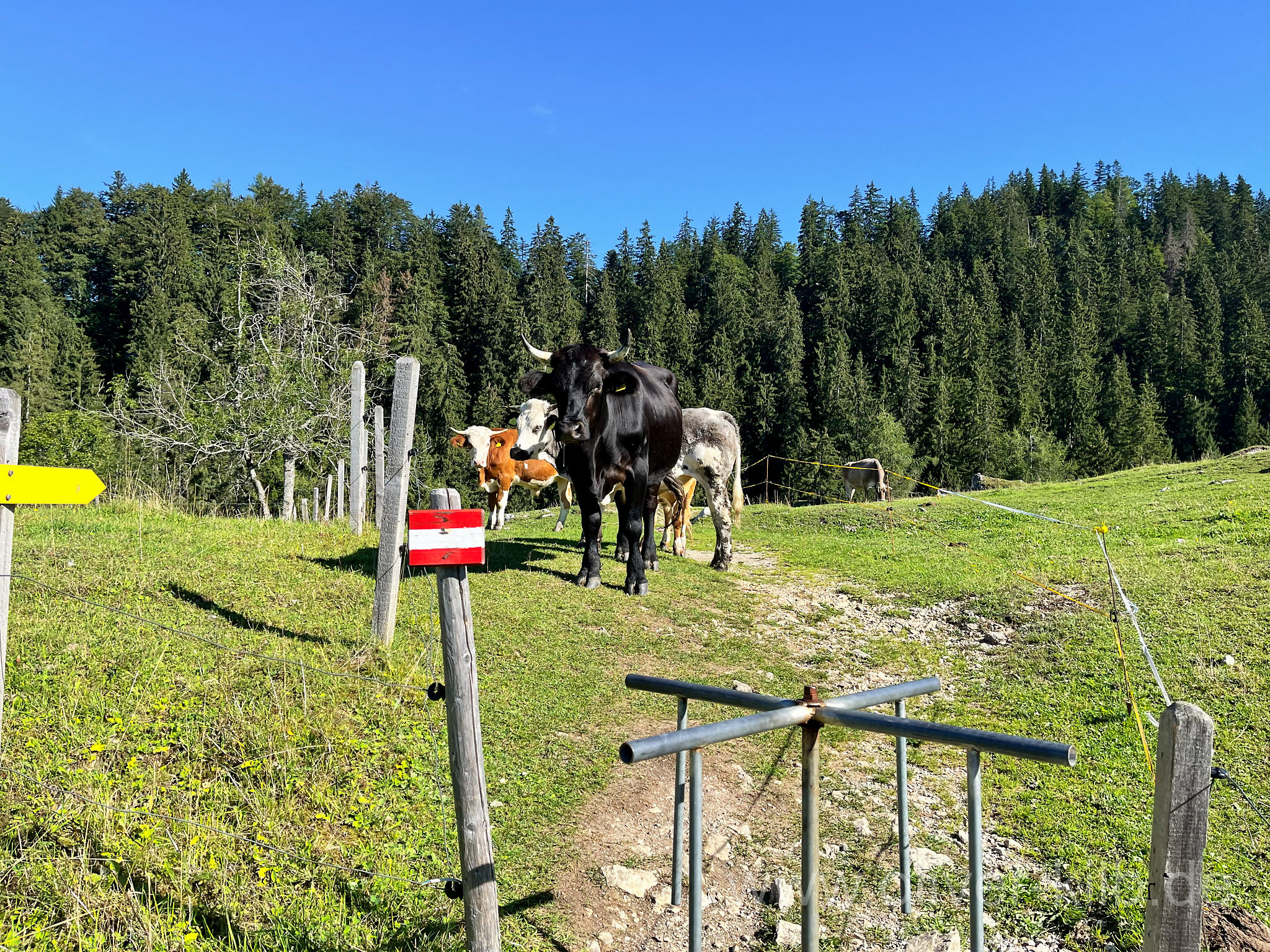 Blick von der Taubenseehütte.