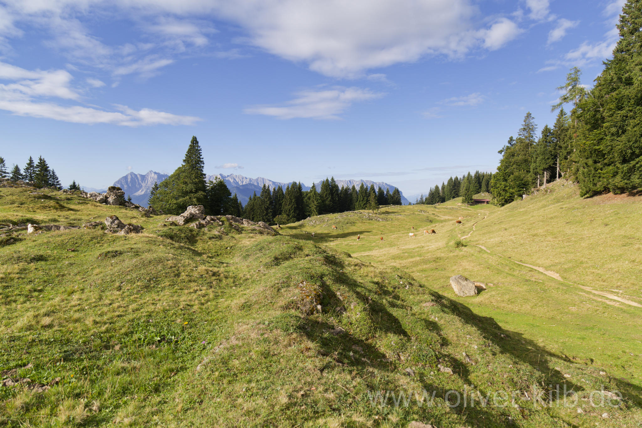 Zwischen Stoibermöseralm und dem Taubensee.