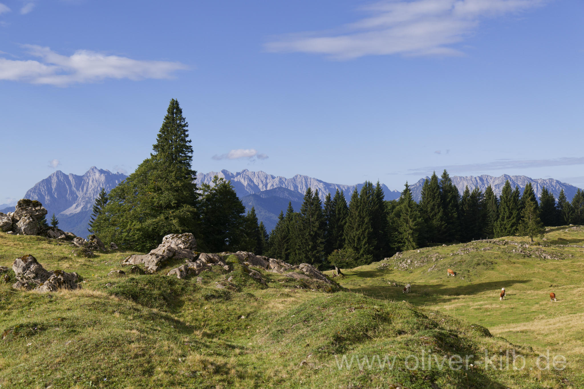 Zwischen Stoibermöseralm und dem Taubensee.