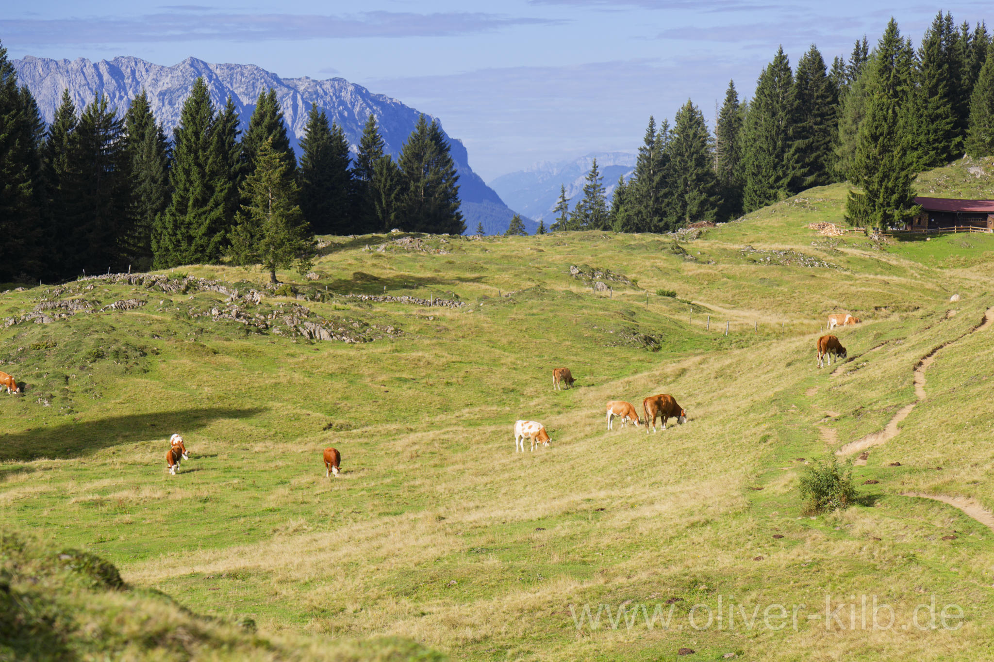 Zwischen Stoibermöseralm und dem Taubensee.
